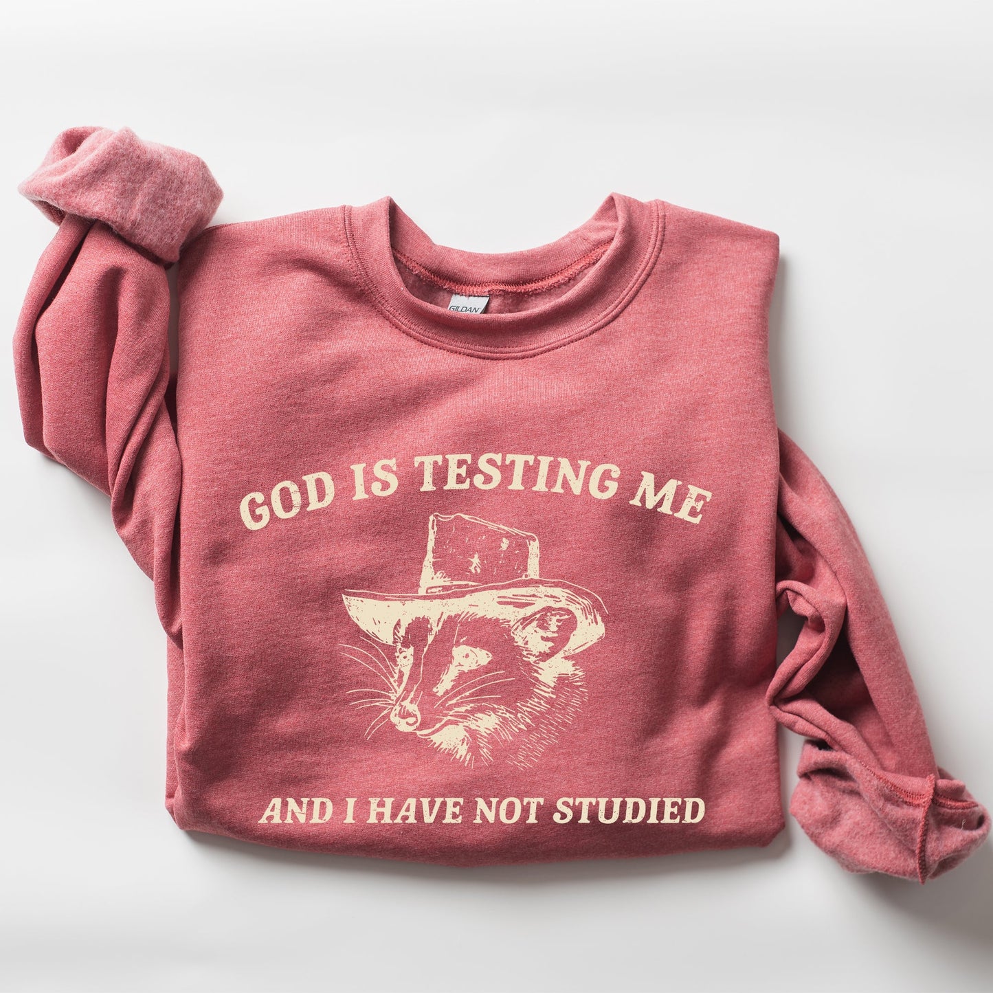 God Is Testing Me, Opossum, Possum, Funny Sweatshirt