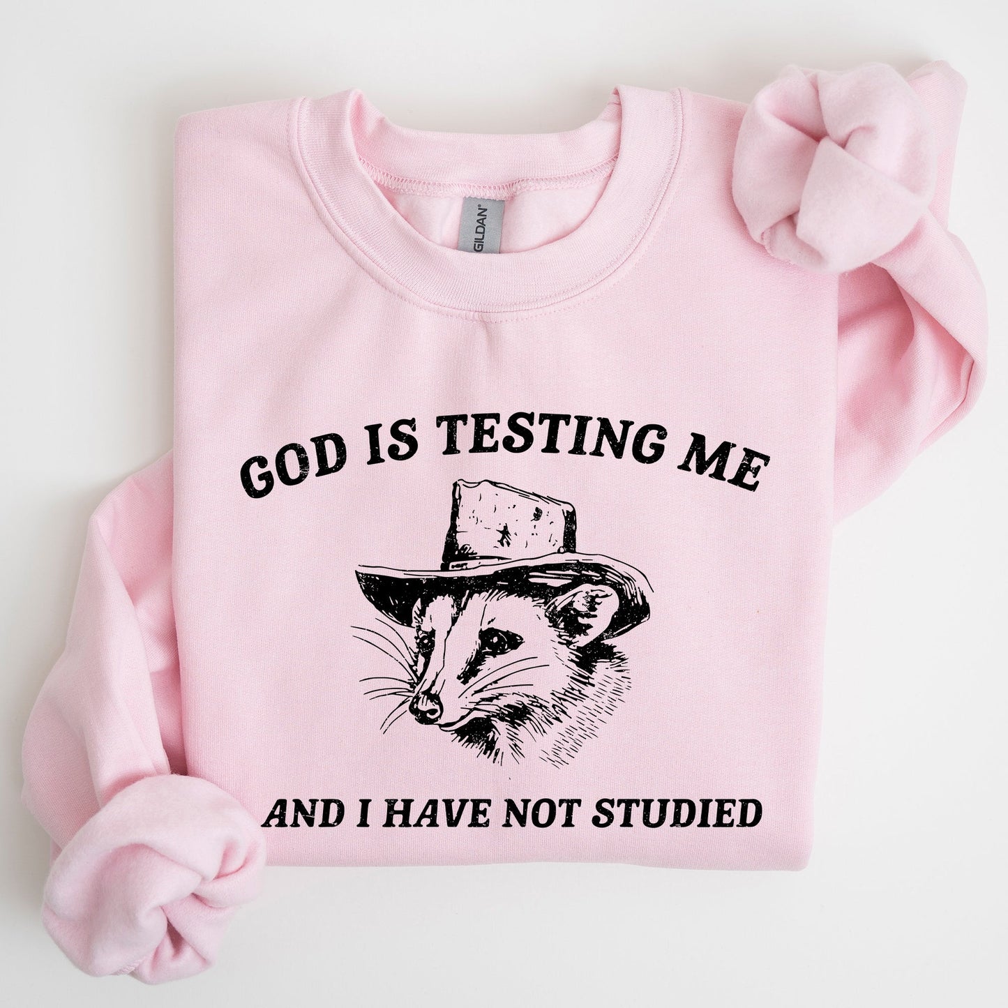 God Is Testing Me, Opossum, Possum, Funny Sweatshirt