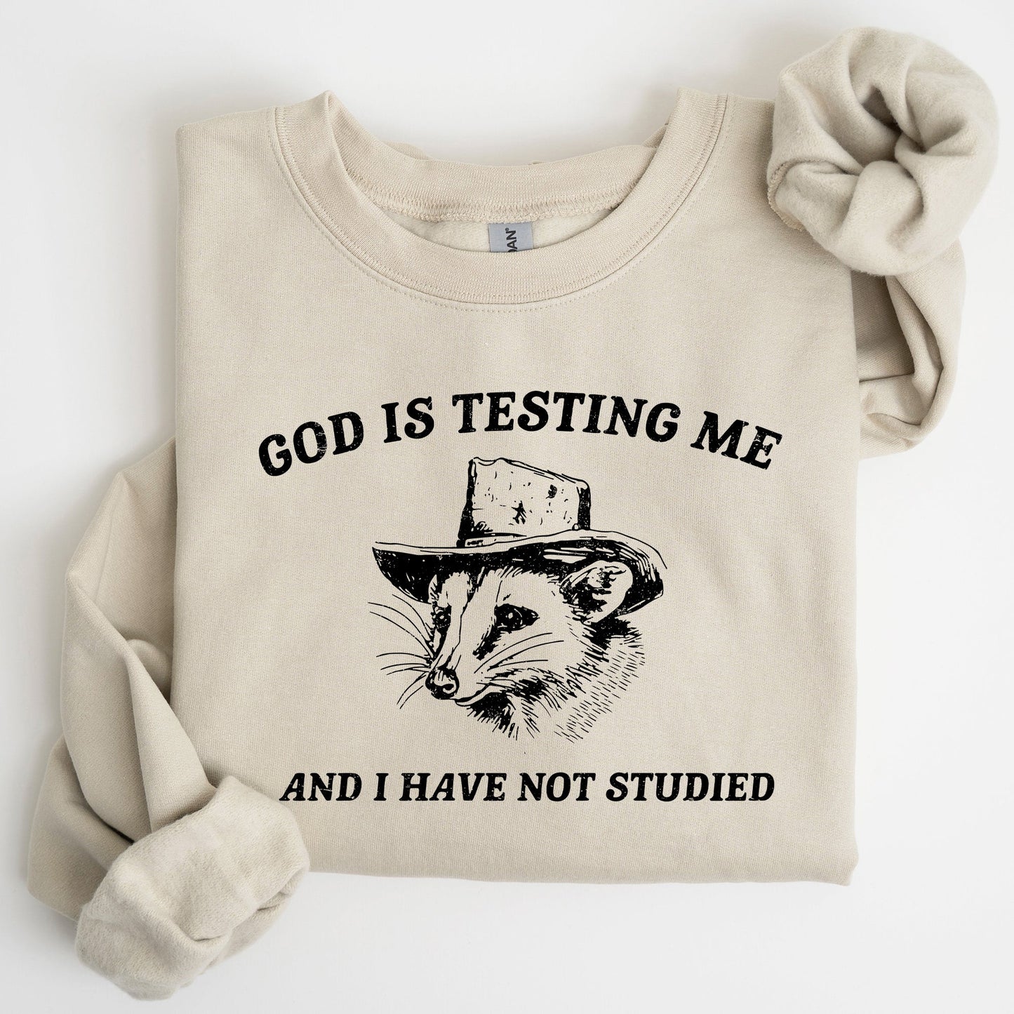 God Is Testing Me, Opossum, Possum, Funny Sweatshirt