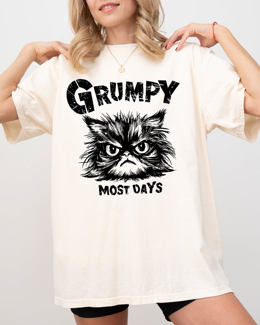 Grumpy Cat, Funny, Snarky, Sarcasm, Grumpy Most Days, Trendy Shirt Comfort Colors T-Shirt