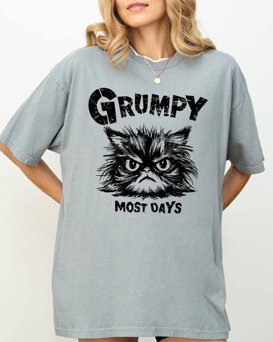 Grumpy Cat, Funny, Snarky, Sarcasm, Grumpy Most Days, Trendy Shirt Comfort Colors T-Shirt