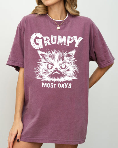 Grumpy Cat, Funny, Snarky, Sarcasm, Grumpy Most Days, Trendy Shirt Comfort Colors T-Shirt