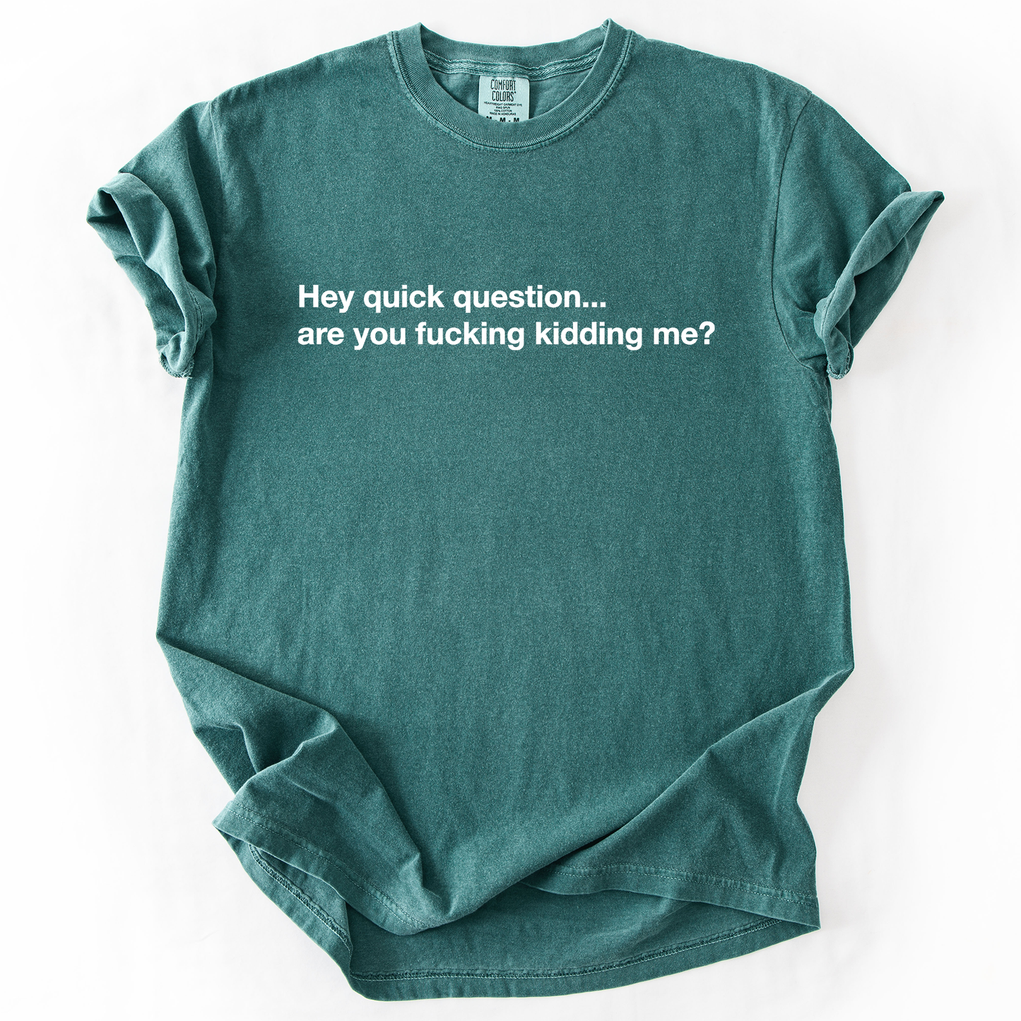 Hey Quick Question, Are You Kidding Me, Vulgar, Sassy, Sarcastic, Minimalist, Funny, Comfort Colors T-Shirt