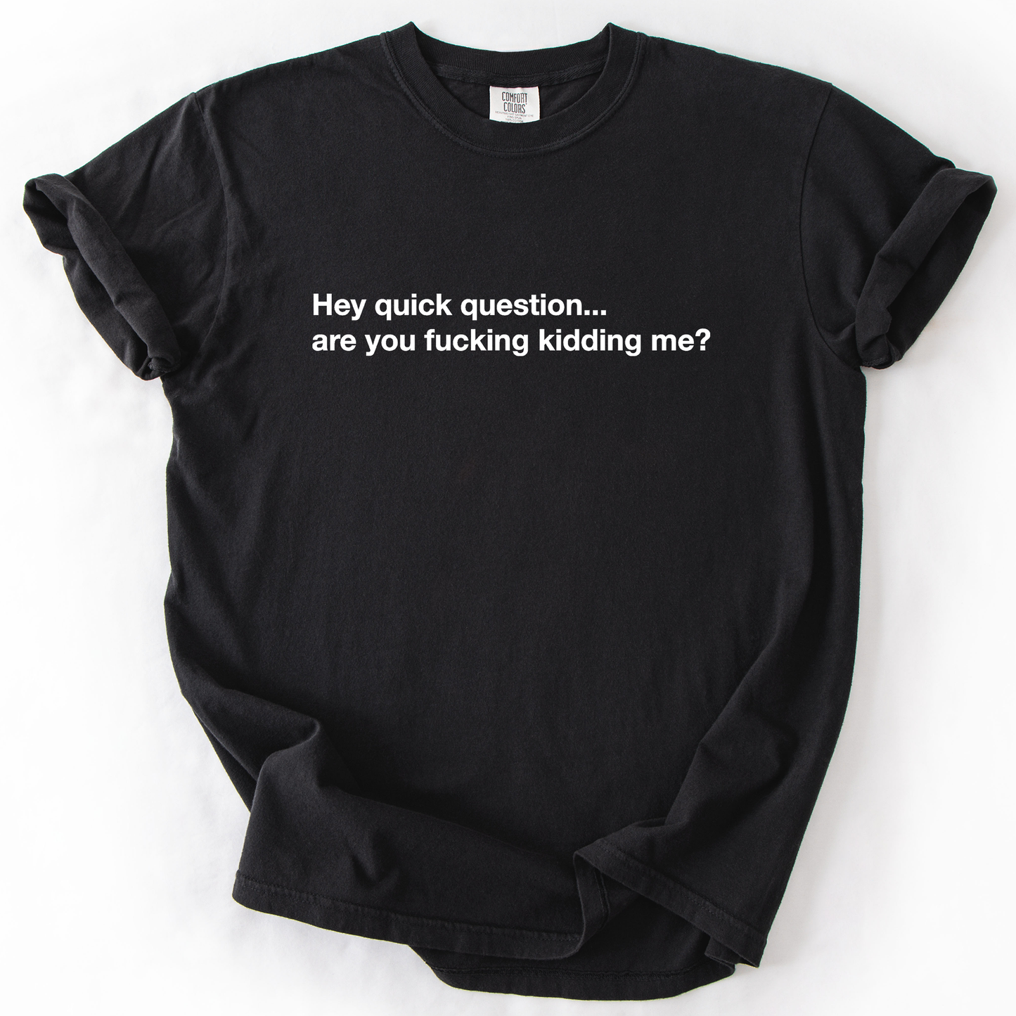 Hey Quick Question, Are You Kidding Me, Vulgar, Sassy, Sarcastic, Minimalist, Funny, Comfort Colors T-Shirt