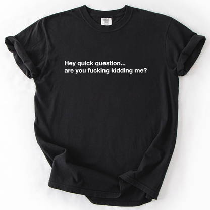 Hey Quick Question, Are You Kidding Me, Vulgar, Sassy, Sarcastic, Minimalist, Funny, Comfort Colors T-Shirt
