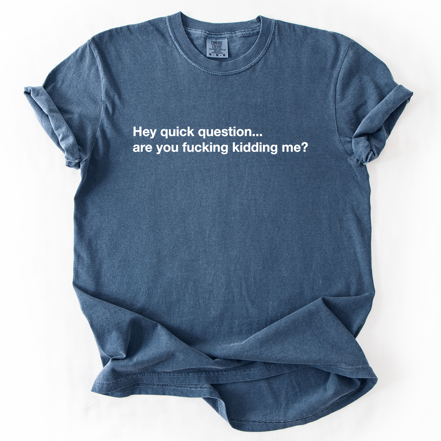 Hey Quick Question, Are You Kidding Me, Vulgar, Sassy, Sarcastic, Minimalist, Funny, Comfort Colors T-Shirt