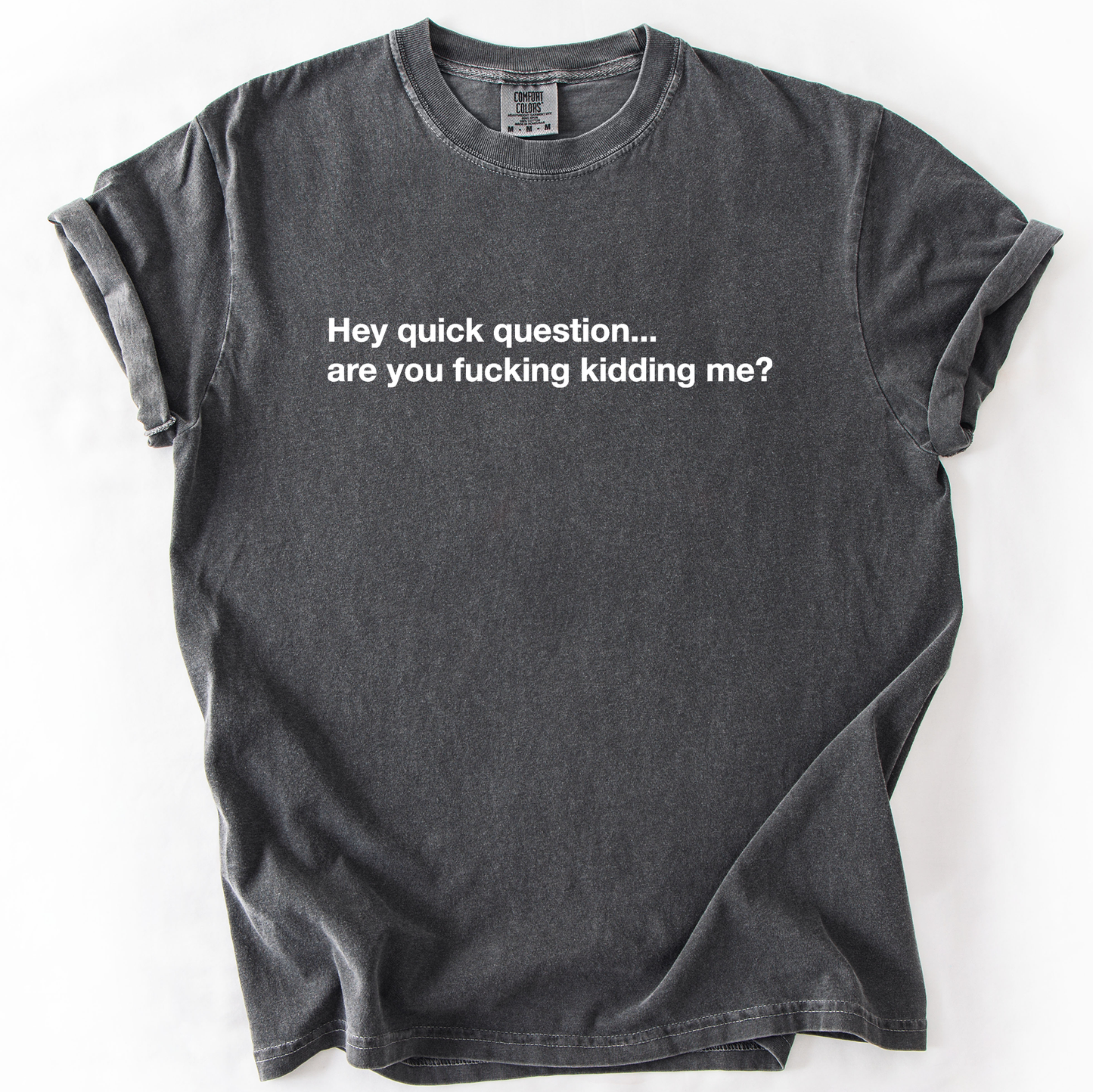 Hey Quick Question, Are You Kidding Me, Vulgar, Sassy, Sarcastic, Minimalist, Funny, Comfort Colors T-Shirt