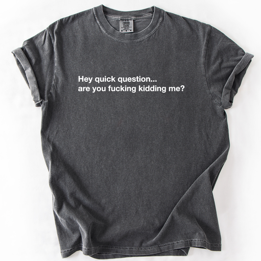 Hey Quick Question, Are You Kidding Me, Vulgar, Sassy, Sarcastic, Minimalist, Funny, Comfort Colors T-Shirt