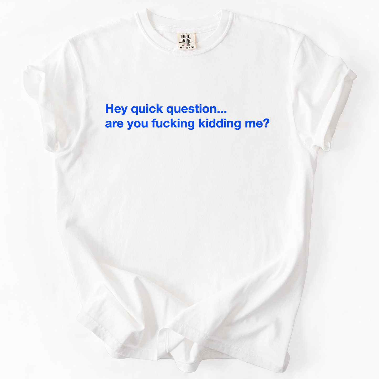 Hey Quick Question, Are You Kidding Me, Vulgar, Sassy, Sarcastic, Minimalist, Funny, Comfort Colors T-Shirt