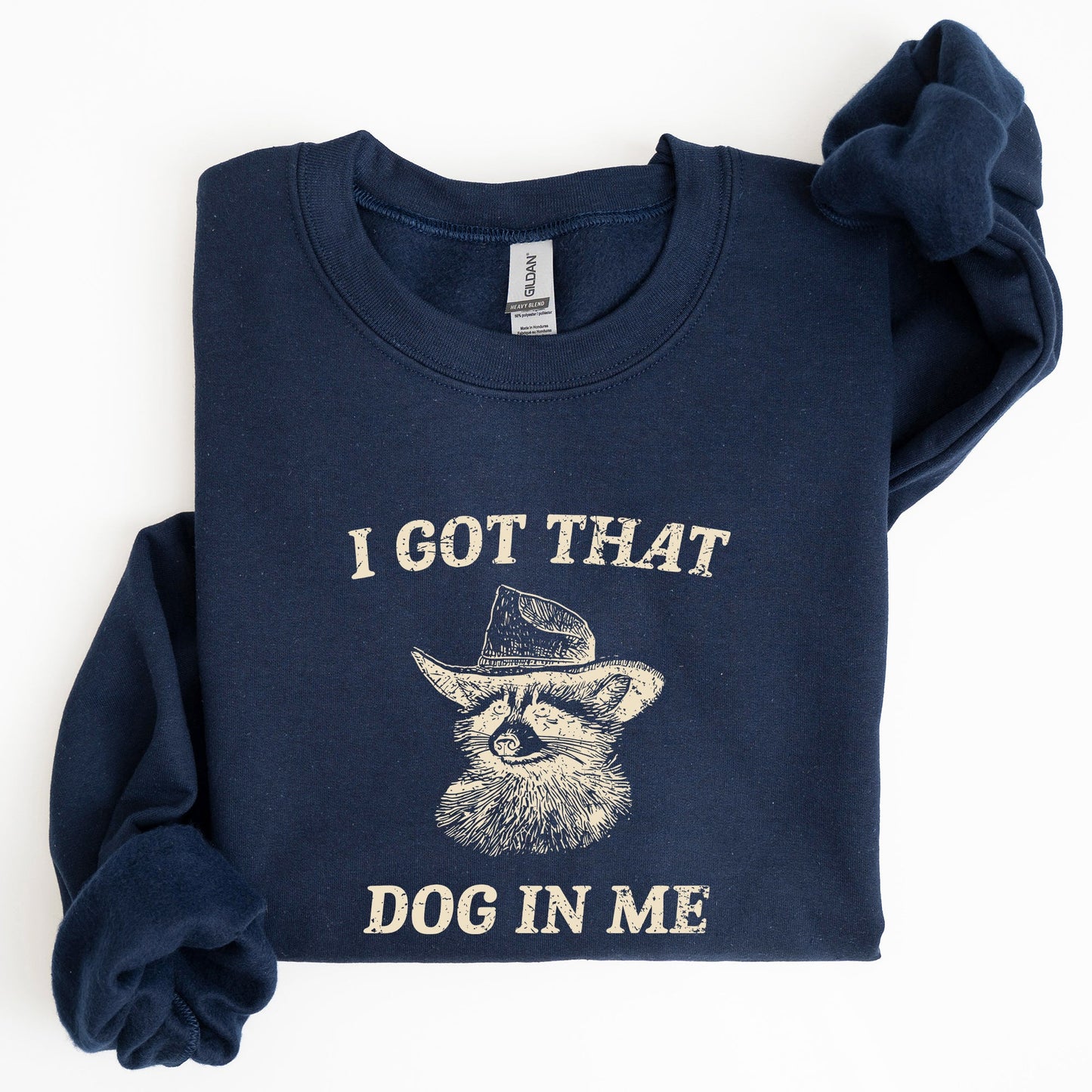 I Got That Dog In Me, Raccoon, Meme, Aesthetic, Funny Sweatshirt