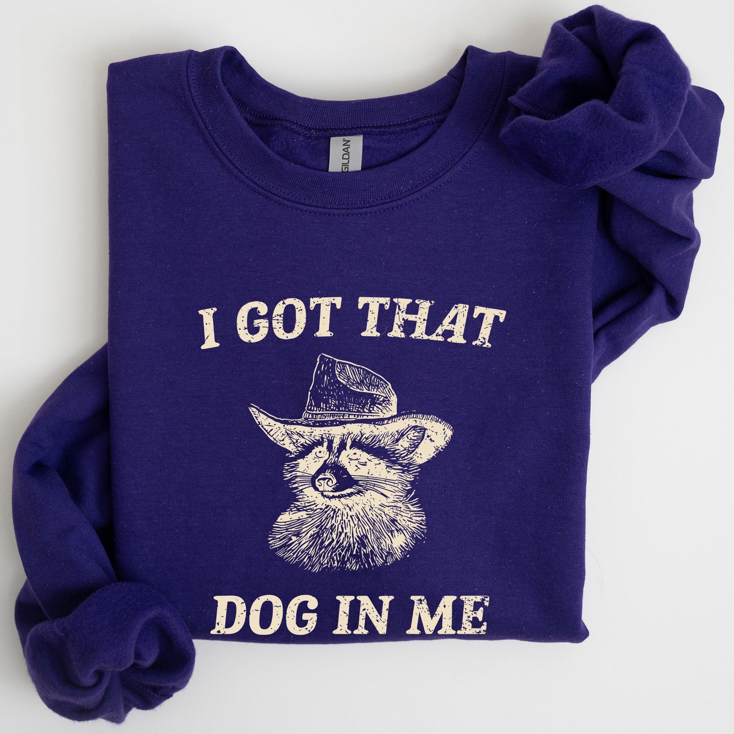 I Got That Dog In Me, Raccoon, Meme, Aesthetic, Funny Sweatshirt
