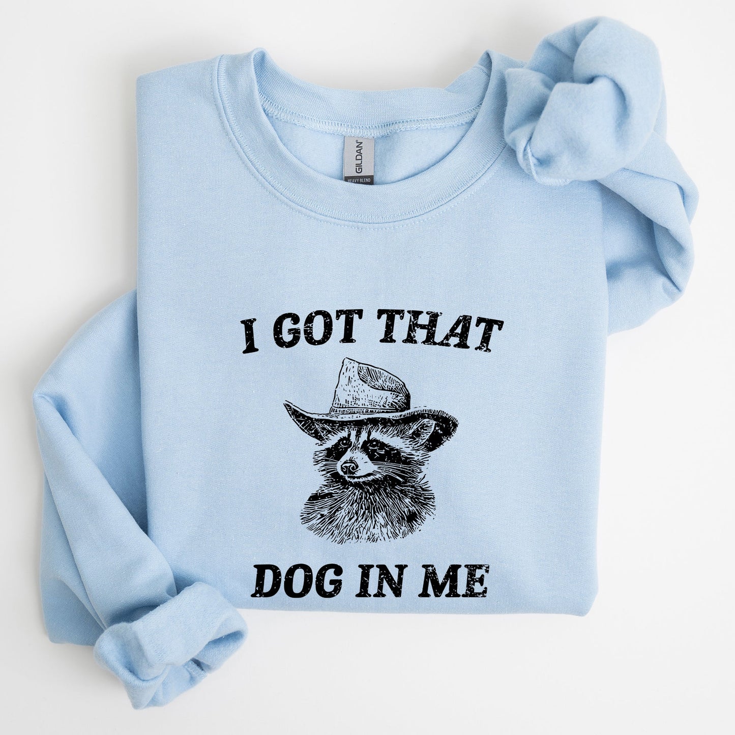 I Got That Dog In Me, Raccoon, Meme, Aesthetic, Funny Sweatshirt