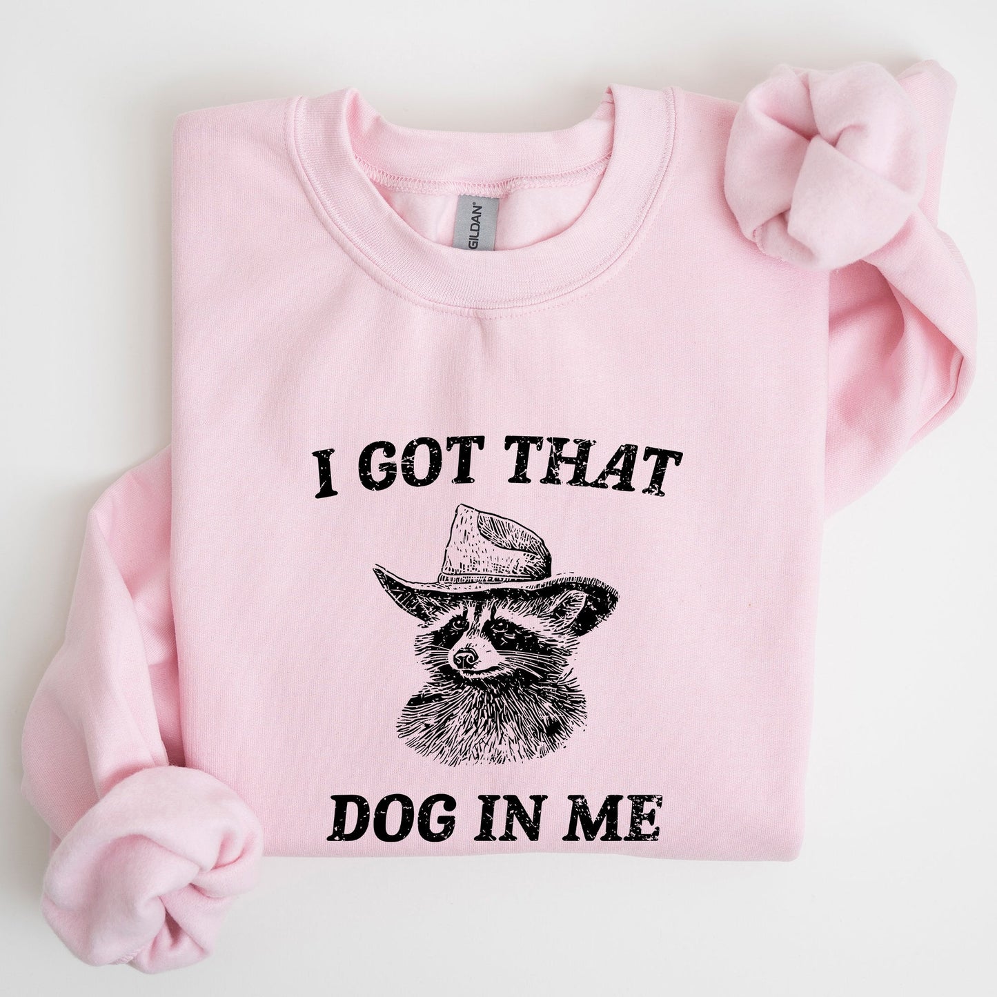 I Got That Dog In Me, Raccoon, Meme, Aesthetic, Funny Sweatshirt