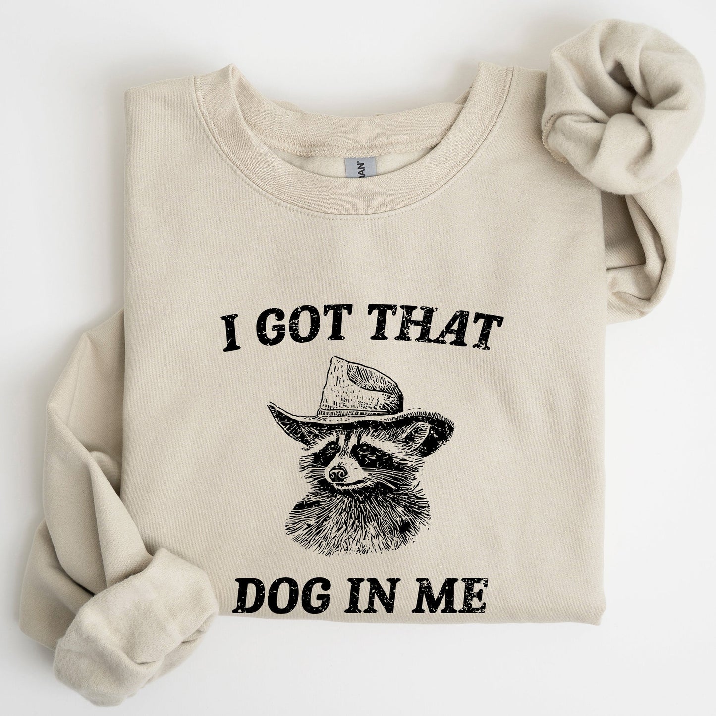 I Got That Dog In Me, Raccoon, Meme, Aesthetic, Funny Sweatshirt
