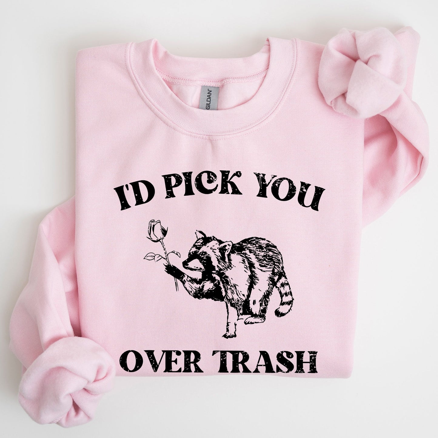 I'd Pick You Over Trash, Raccoon, Funny, Aesthetic Sweatshirt