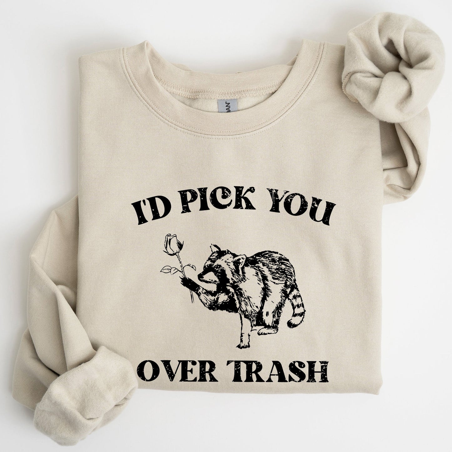 I'd Pick You Over Trash, Raccoon, Funny, Aesthetic Sweatshirt