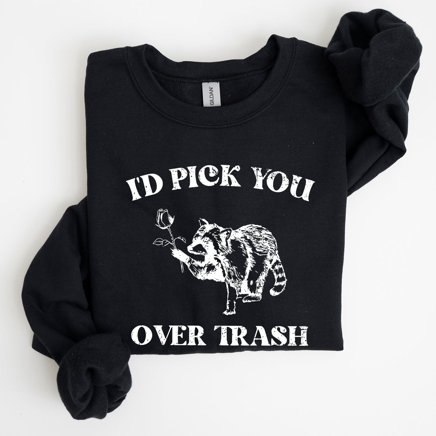 I'd Pick You Over Trash, Raccoon, Funny, Aesthetic Sweatshirt