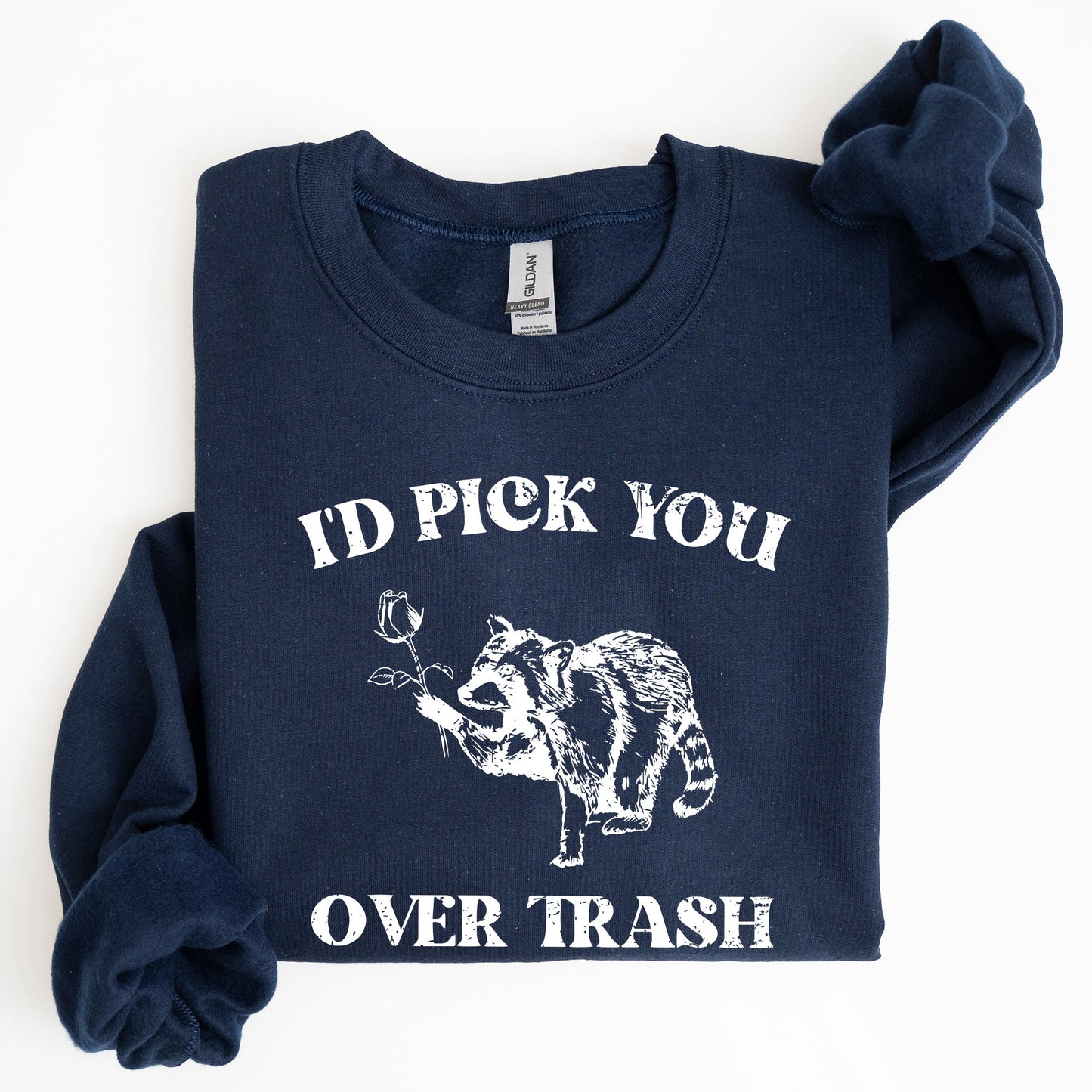 I'd Pick You Over Trash, Raccoon, Funny, Aesthetic Sweatshirt