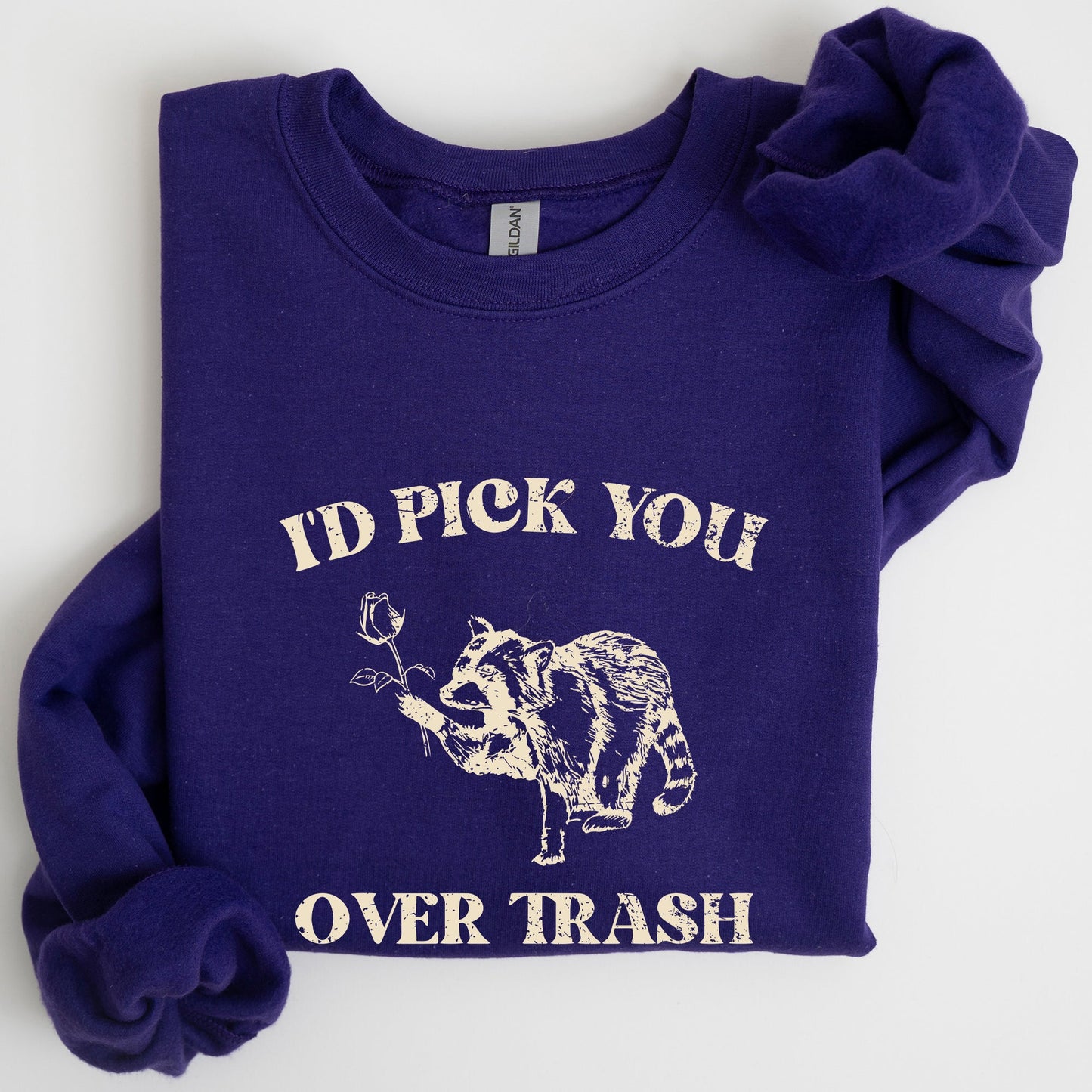 I'd Pick You Over Trash, Raccoon, Meme, Aesthetic, Funny Sweatshirt