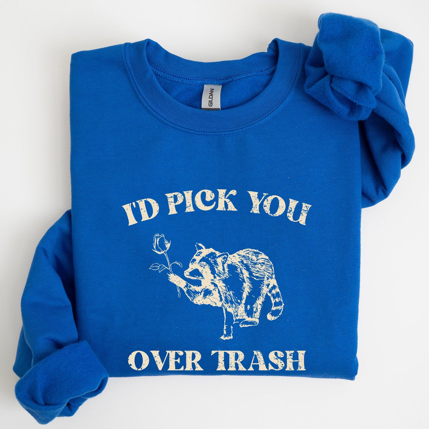 I'd Pick You Over Trash, Raccoon, Meme, Aesthetic, Funny Sweatshirt