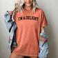 I'm A Delight, Funny, Minimal, Sassy, Aesthetic, Meme Shirt Comfort Colors T-Shirt