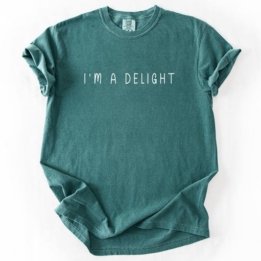 I'm A Delight, Sassy, Sarcastic, Minimalist, Funny, Comfort Colors T-Shirt
