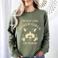 I'm Not Like Other Girls, I'm Worse, Raccoon Sweatshirt