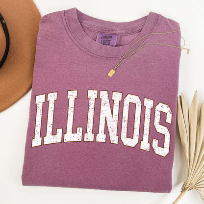 Illinois, Football, Sports, Game Day, Big Game, Touchdown, Tailgate Party, University, College, State Tshirt Comfort Colors T-Shirt