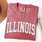 Illinois, Football, Sports, Game Day, Big Game, Touchdown, Tailgate Party, University, College, State Tshirt Comfort Colors T-Shirt