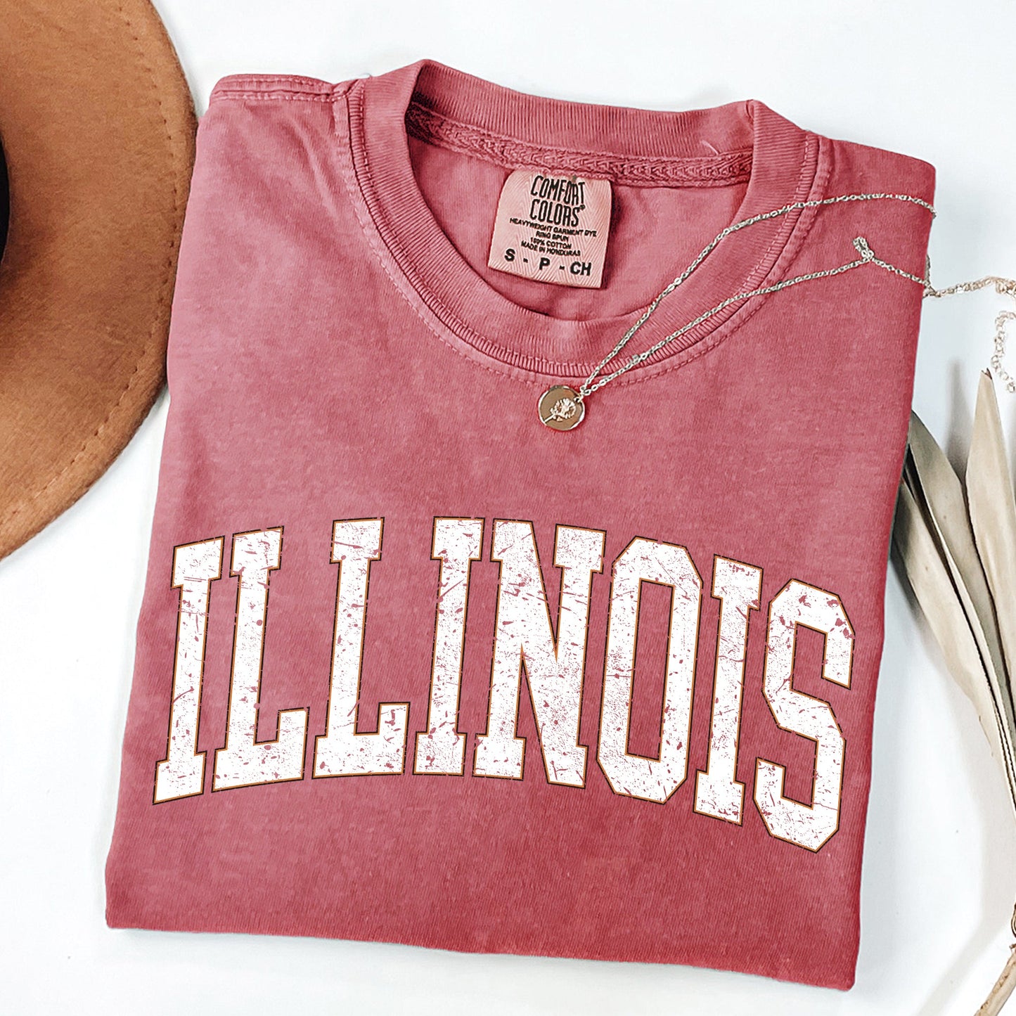 Illinois, Football, Sports, Game Day, Big Game, Touchdown, Tailgate Party, University, College, State Tshirt Comfort Colors T-Shirt