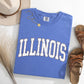 Illinois, Football, Sports, Game Day, Big Game, Touchdown, Tailgate Party, University, College, State Tshirt Comfort Colors T-Shirt