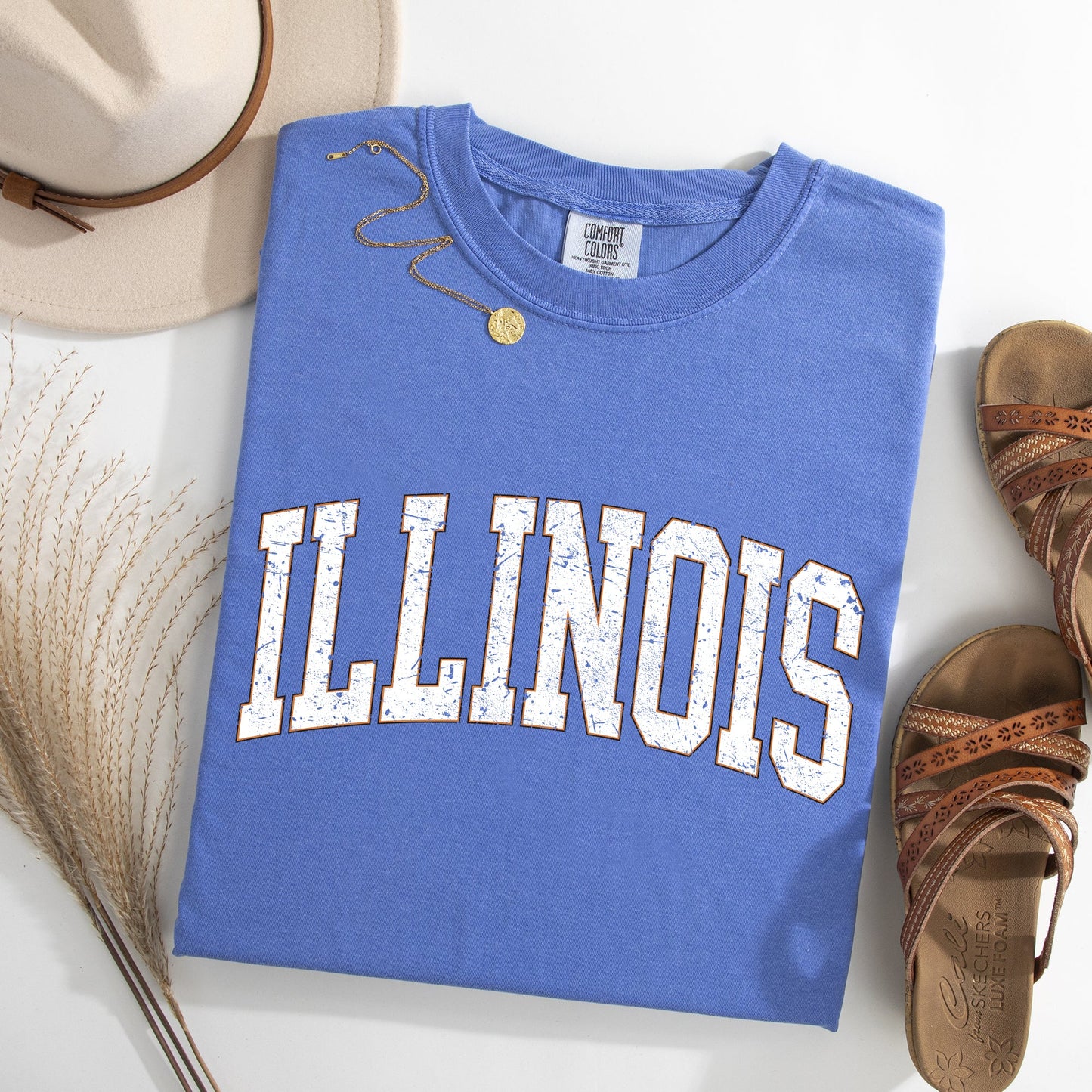 Illinois, Football, Sports, Game Day, Big Game, Touchdown, Tailgate Party, University, College, State Tshirt Comfort Colors T-Shirt