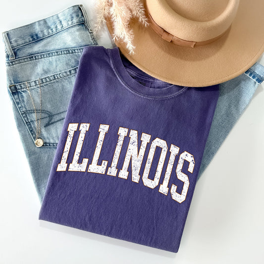 Illinois, Football, Sports, Game Day, Big Game, Touchdown, Tailgate Party, University, College, State Tshirt Comfort Colors T-Shirt