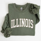 Illinois, Football, Sports, Game Day, Big Game, Touchdown, Tailgate Party, University, College, State Sweatshirt