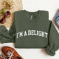 I'm A Delight Funny Sweatshirt, Sarcastic College Sweatshirt