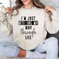 I'm Just Wtf-ing My Way Funny Sweatshirt, Sarcastic College Sweatshirt