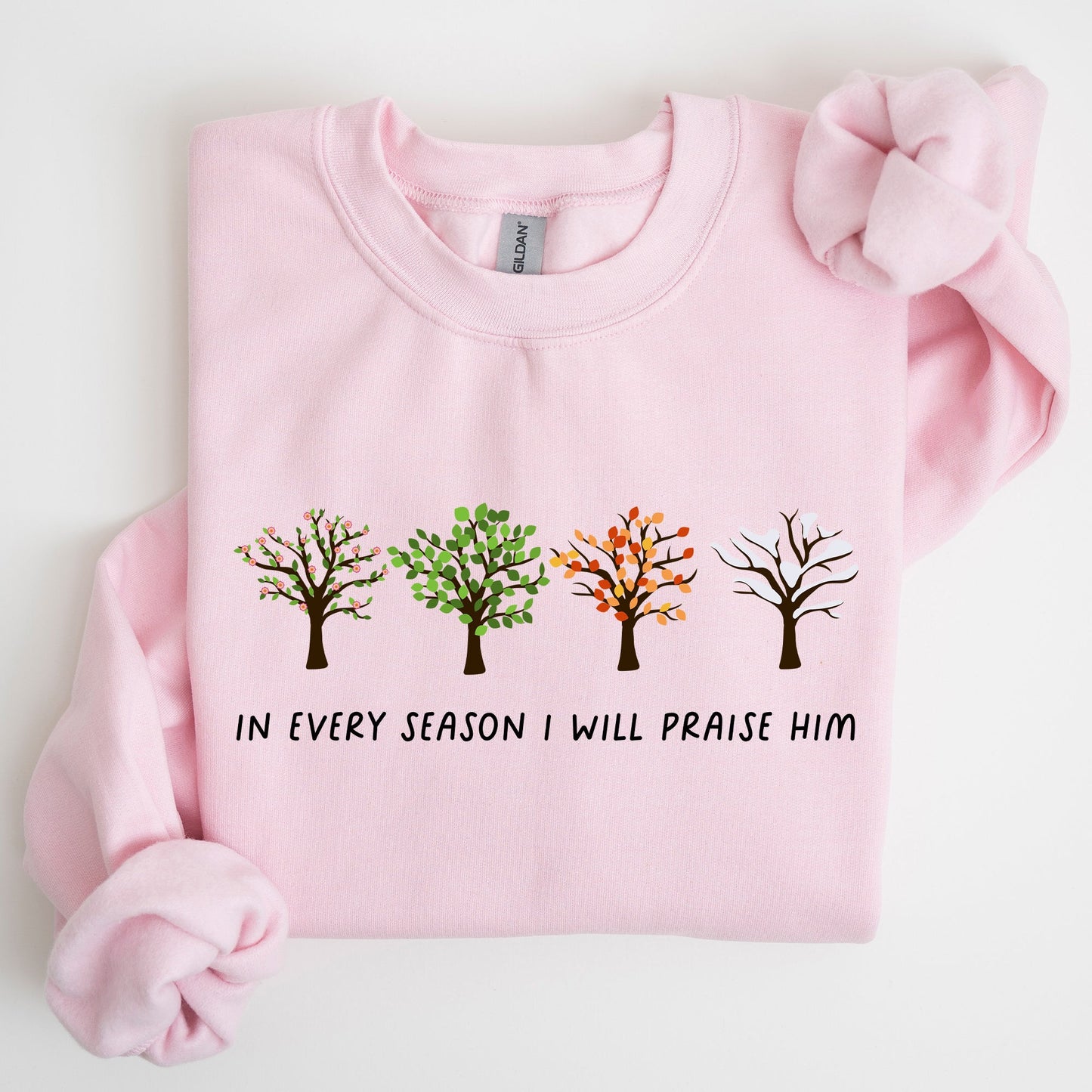 In Every Season I Will Praise Him, Jesus Love, Christian Faith, Bible Truths, Christian Symbol Sweatshirt