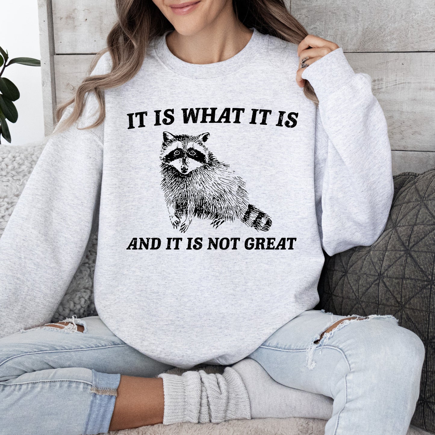 It Is What It Is And It Is Not Great, Raccoon, Trash Panda, Funny, Meme, Sweatshirt
