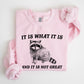 It Is What It Is And It Is Not Great, Raccoon, Trash Panda, Funny, Meme, Sweatshirt