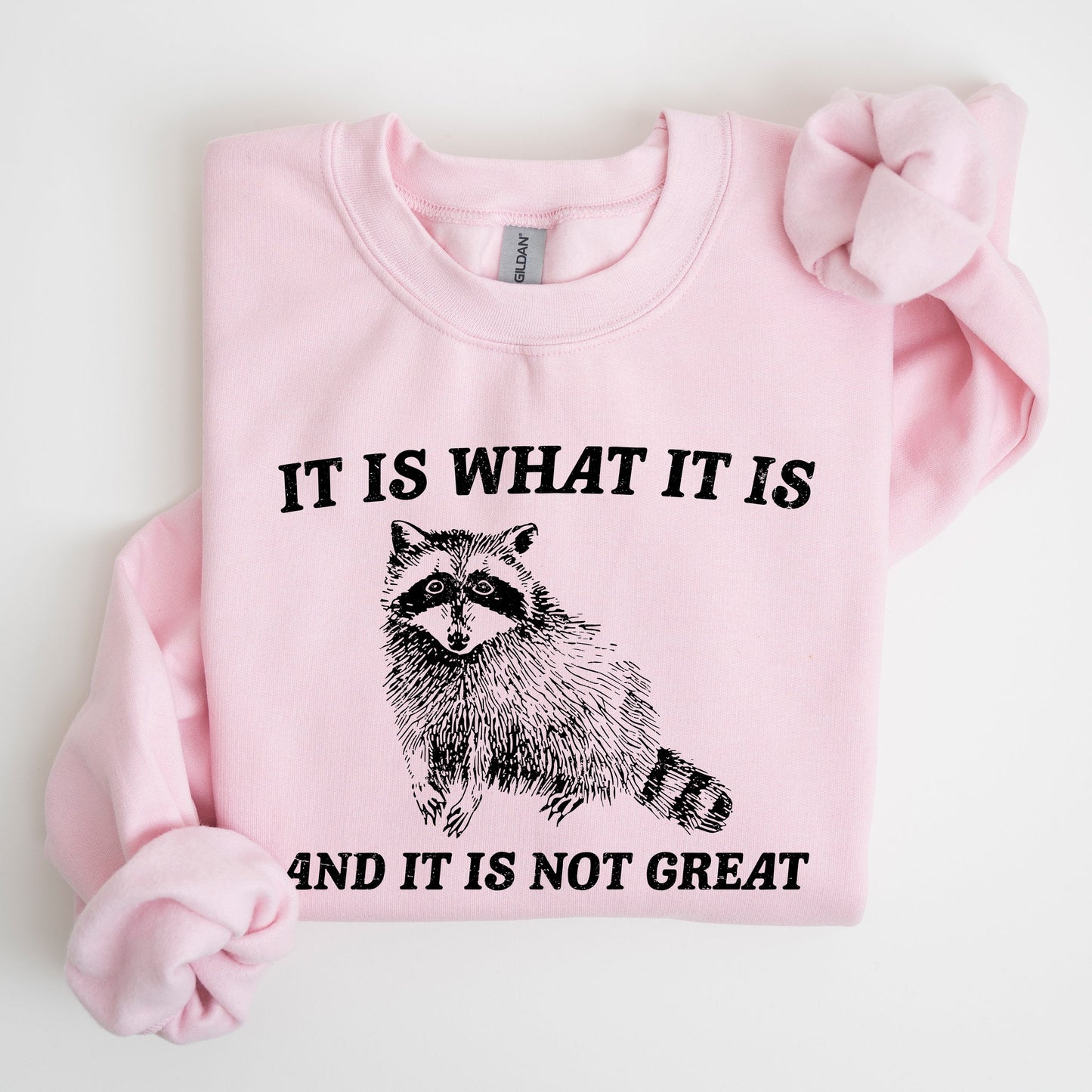 It Is What It Is And It Is Not Great, Raccoon, Trash Panda, Funny, Meme, Sweatshirt