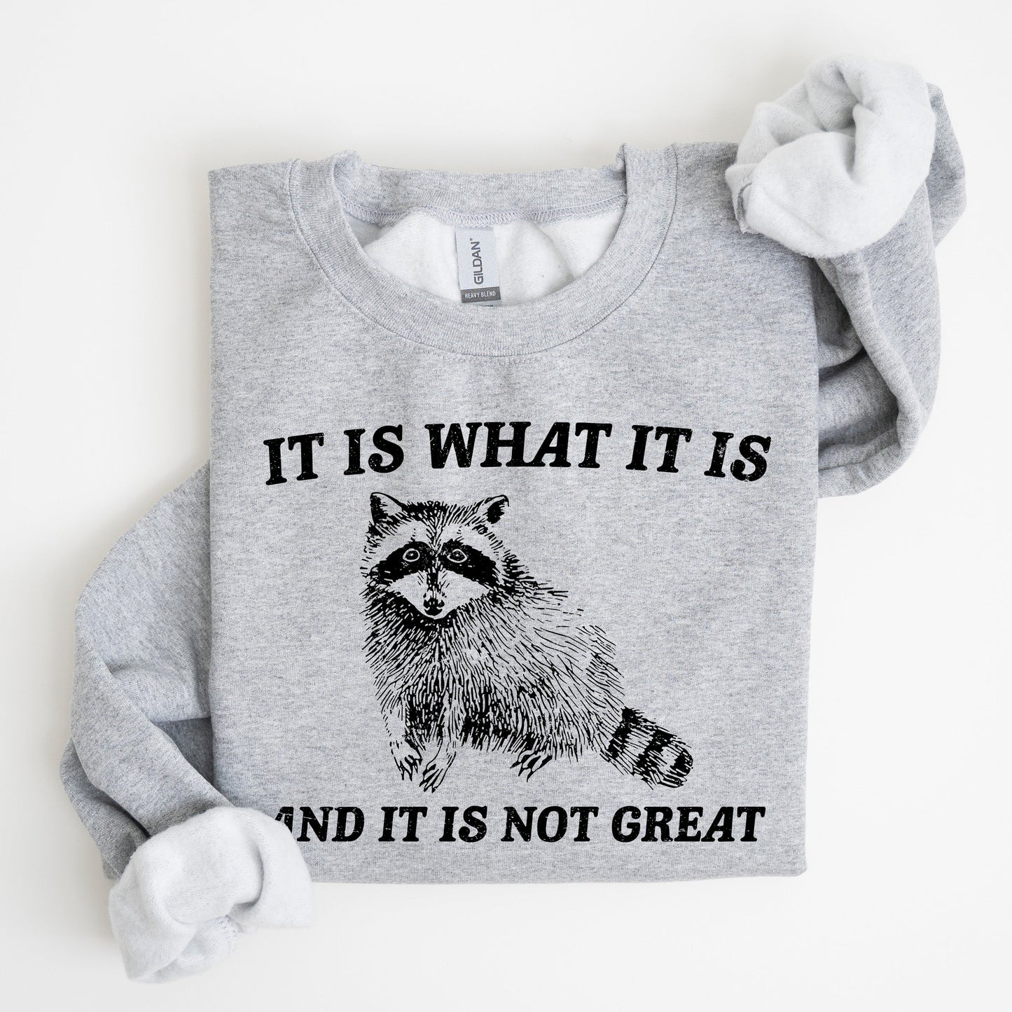 It Is What It Is And It Is Not Great, Raccoon, Trash Panda, Funny, Meme, Sweatshirt