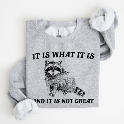 It Is What It Is And It Is Not Great, Raccoon, Trash Panda, Funny, Meme, Sweatshirt