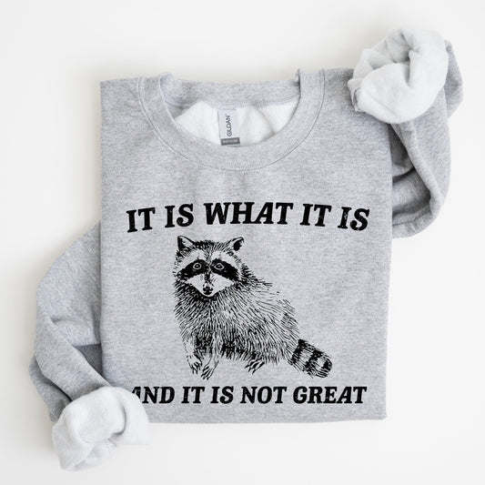 It Is What It Is And It Is Not Great, Raccoon, Trash Panda, Funny, Meme, Sweatshirt