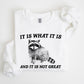 It Is What It Is And It Is Not Great, Raccoon, Trash Panda, Funny, Meme, Sweatshirt