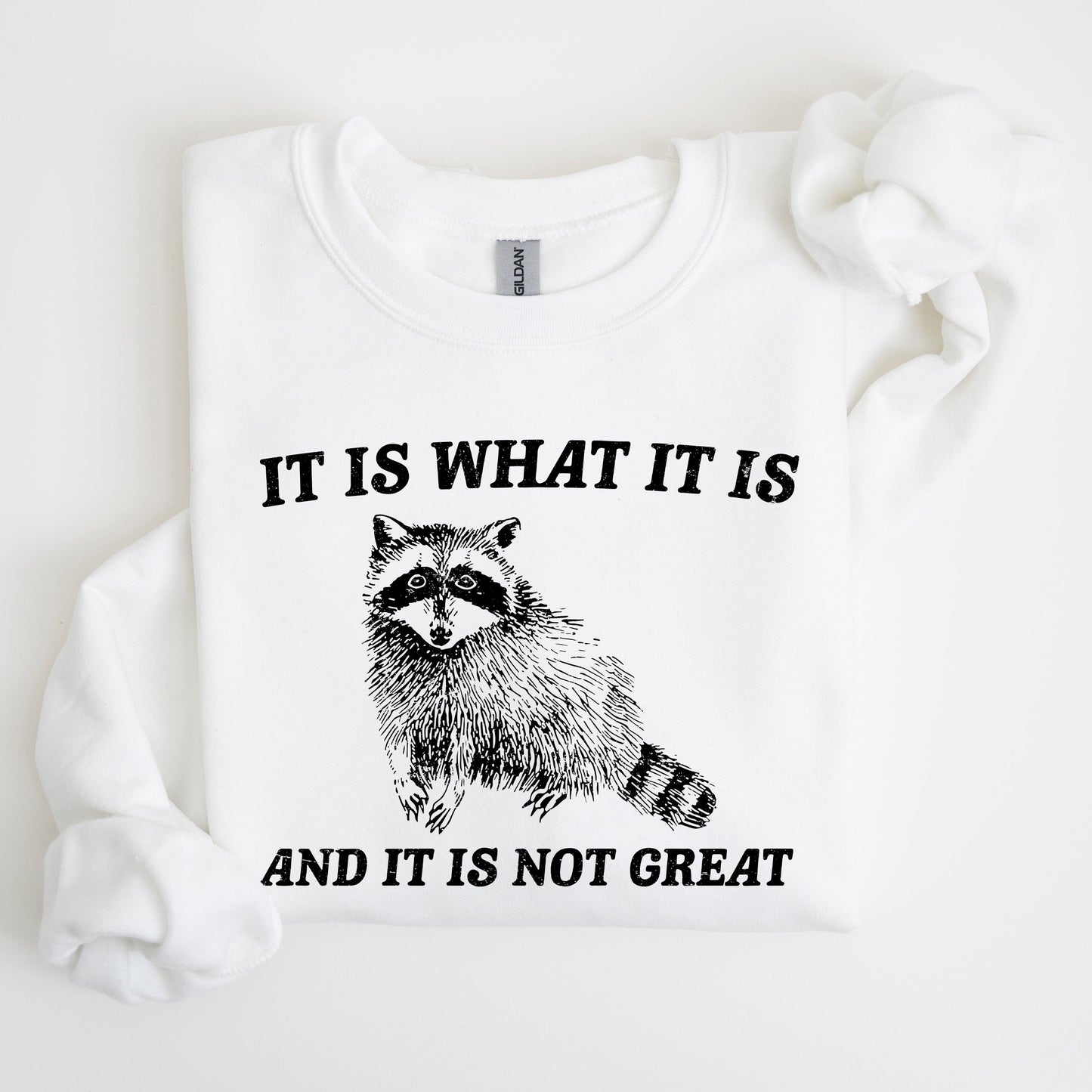 It Is What It Is And It Is Not Great, Raccoon, Trash Panda, Funny, Meme, Sweatshirt