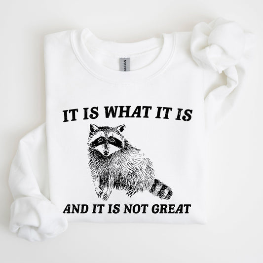 It Is What It Is And It Is Not Great, Raccoon, Trash Panda, Funny, Meme, Sweatshirt