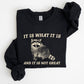 It Is What It Is And It Is Not Great, Raccoon, Funny, Aesthetic Sweatshirt