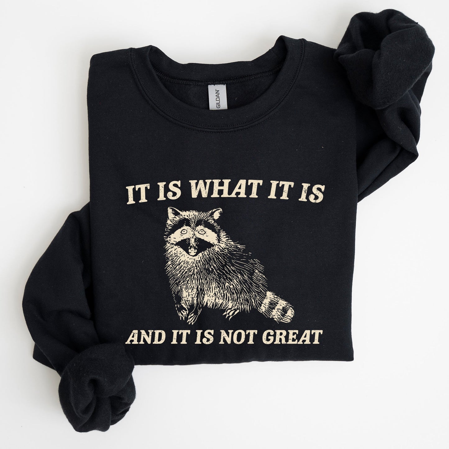 It Is What It Is And It Is Not Great, Raccoon, Funny, Aesthetic Sweatshirt