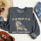 It Is What It Is And It Is Not Great, Raccoon, Funny, Aesthetic Sweatshirt