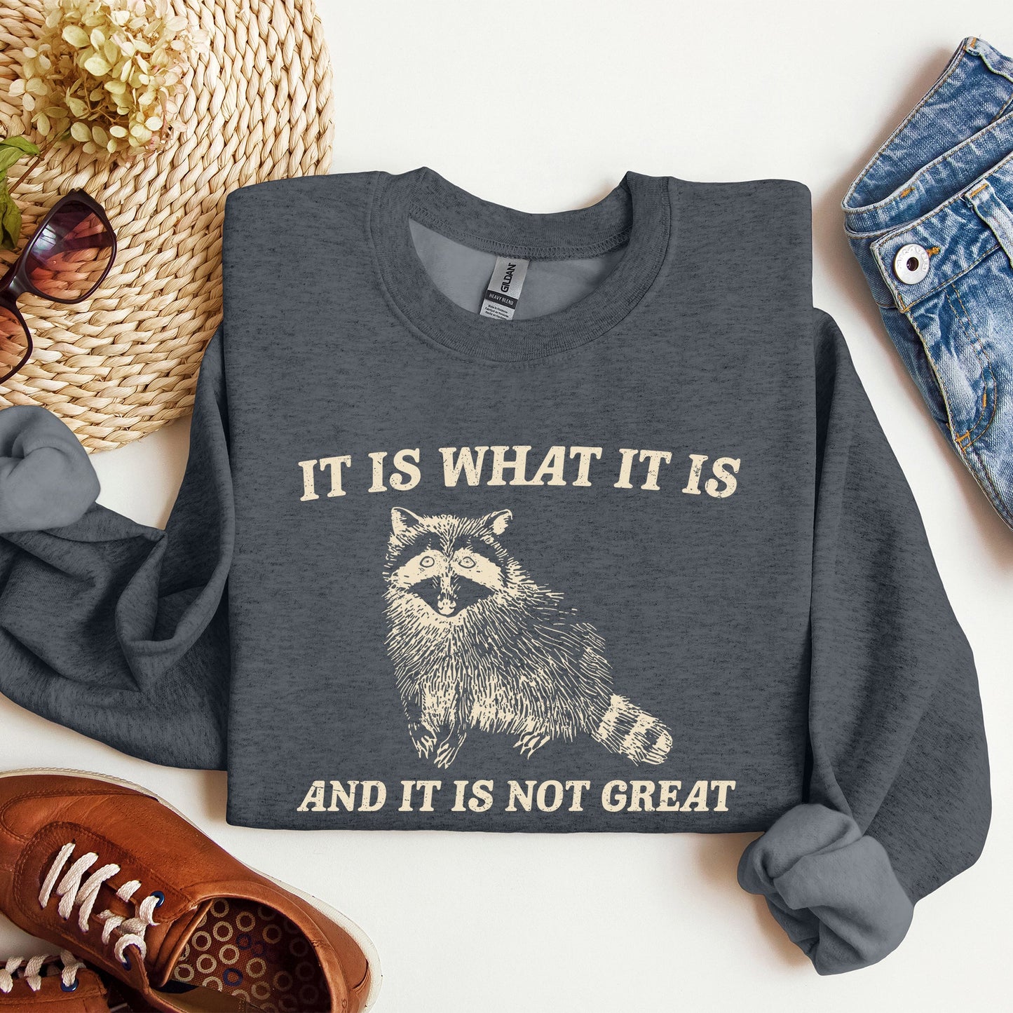 It Is What It Is And It Is Not Great, Raccoon, Funny, Aesthetic Sweatshirt